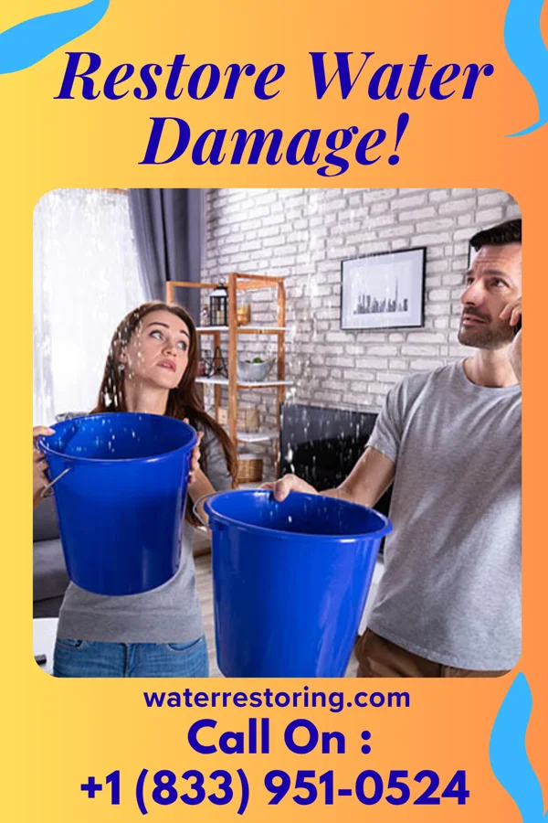 water restoration Modern Disaster Recovery Professionals Brandon
